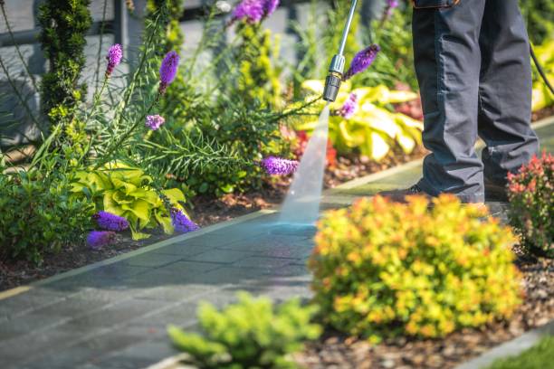 Best Dumpster Area Cleaning  in Mulberry, FL